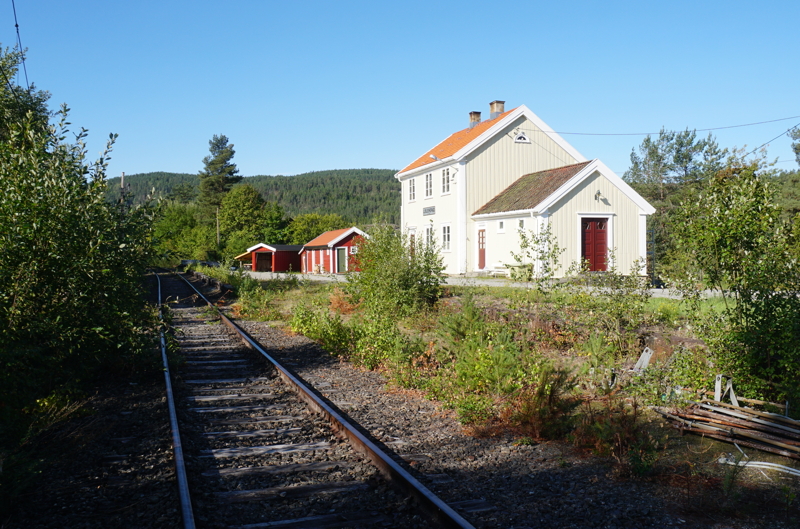 DS604170x Lisleherad