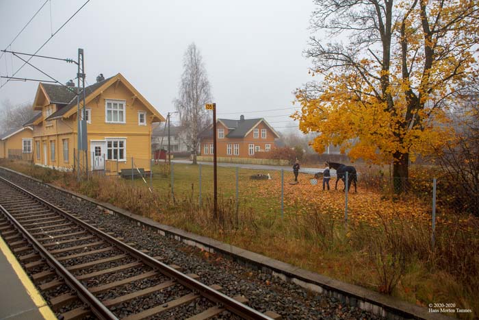 2020-11-09_6147-TamnesHansMorten-700-72