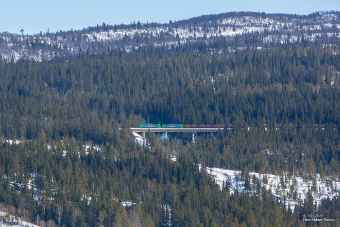 2022-03-20_1106-TamnesHansMorten-700-72