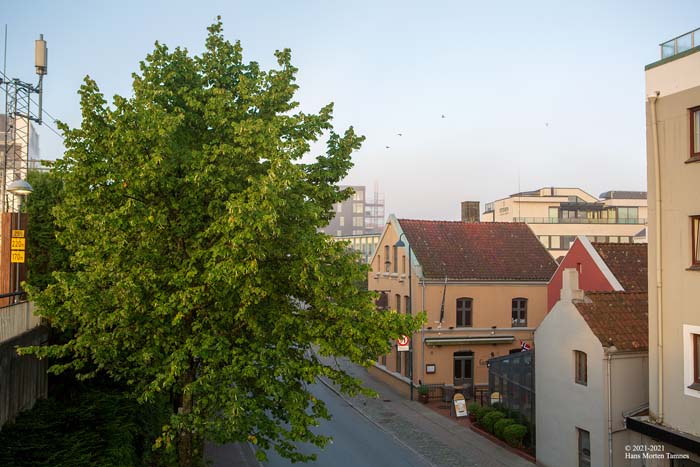 2021 08 22 5132 TamnesHansMorten 700 72