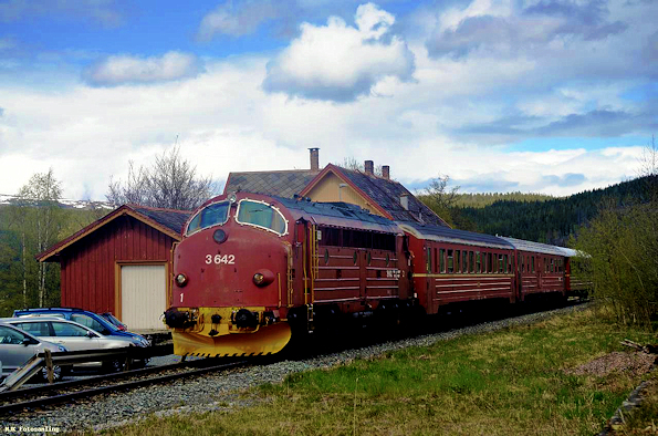 DSC 7845B 595