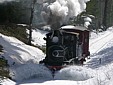 21b 225